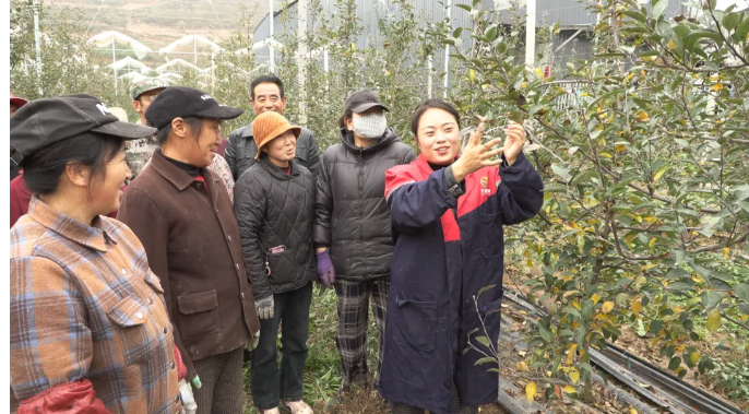 截图-2025年10月31日 17时6分41秒.png