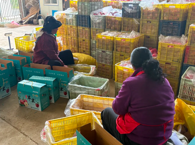 截图-2025年11月5日 16时7分23秒.png