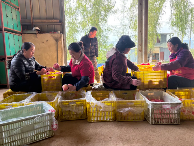 截图-2025年11月5日 16时7分40秒.png