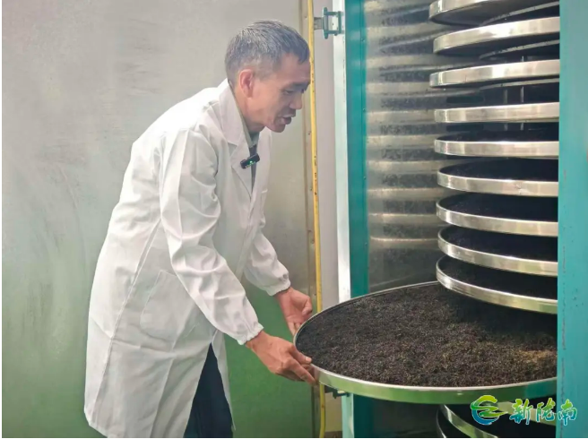 截图-2025年11月19日 10时43分5秒.png