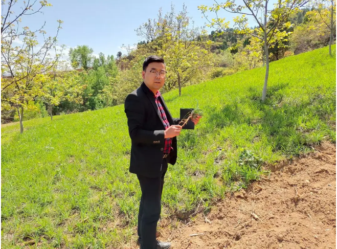 截图-2025年11月26日 15时21分57秒.png