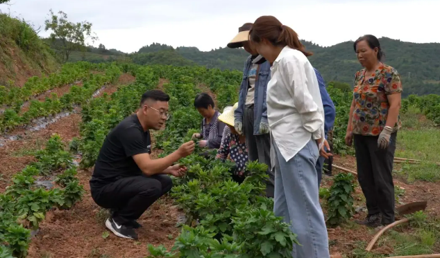 截图-2025年11月26日 15时22分22秒.png