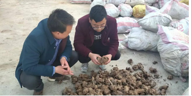 截图-2025年11月26日 15时22分33秒.png