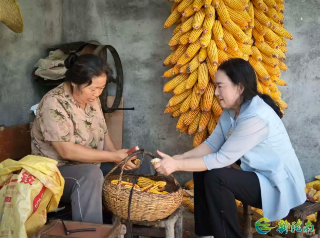 截图-2025年11月26日 15时28分12秒.png