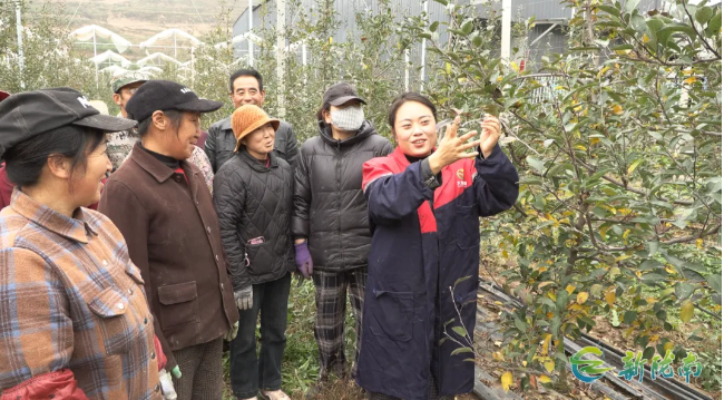 截图-2025年11月26日 15时32分11秒.png