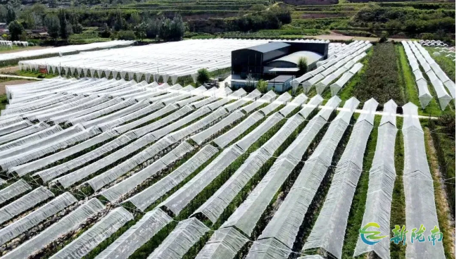 截图-2025年11月26日 15时32分31秒.png