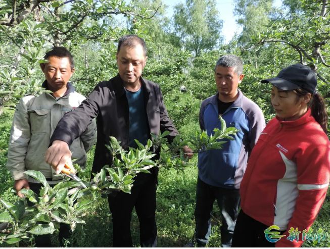 截图-2025年12月3日 11时26分6秒.png