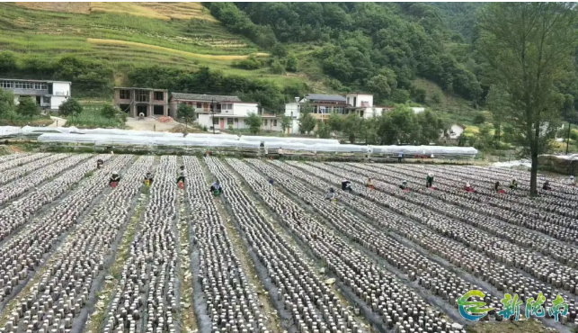 截图-2025年12月5日 9时8分5秒.png