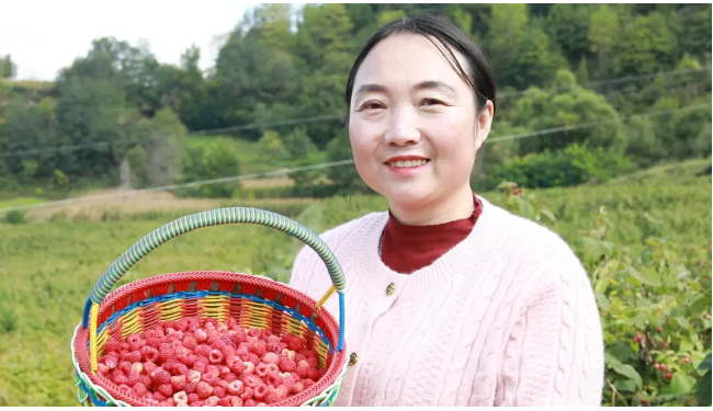 截图-2025年12月10日 15时25分37秒.png