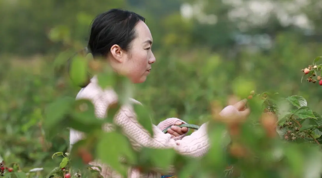 截图-2025年12月10日 15时25分16秒.png