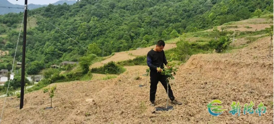 截图-2025年12月11日 15时2分52秒.png