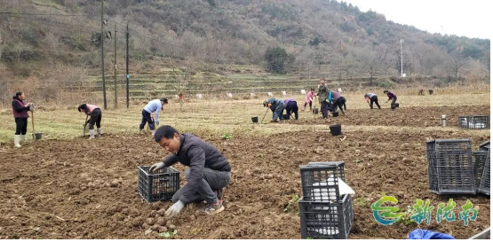 截图-2025年12月11日 15时3分5秒.png