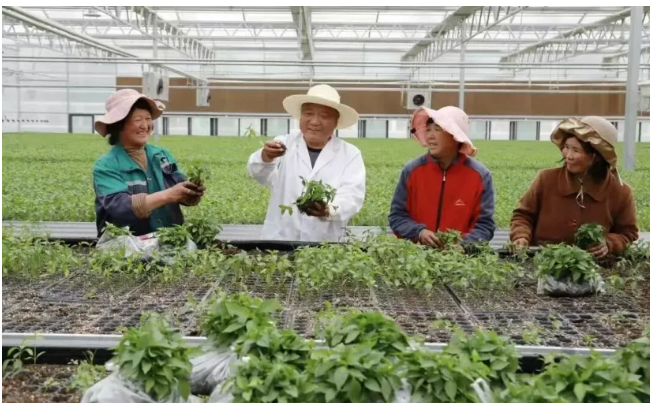 截图-2025年12月15日 9时9分12秒.png