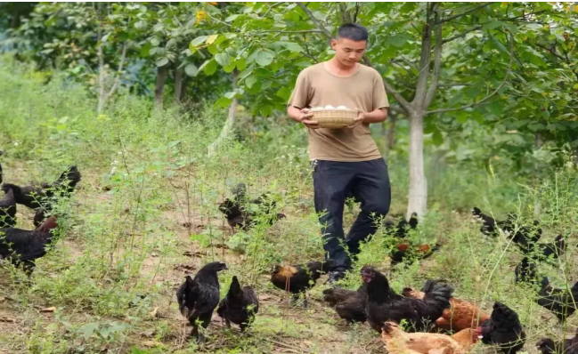 截图-2025年12月15日 18时5分22秒.png